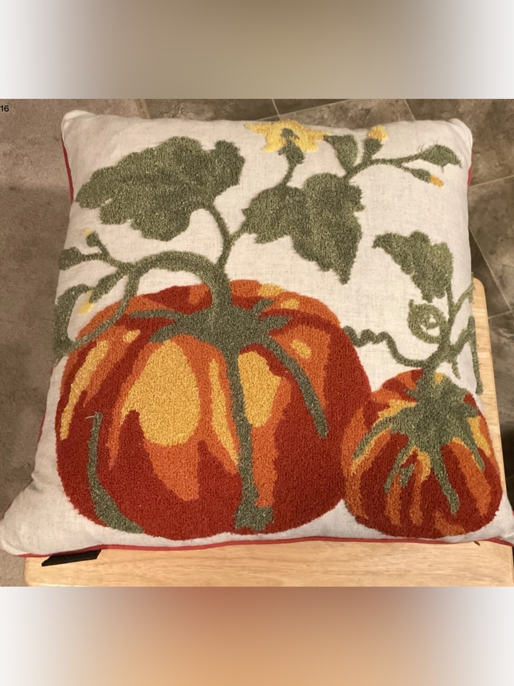 Envogue 17x17” Decorative Pillow “Pumpking Patch” Design EUC